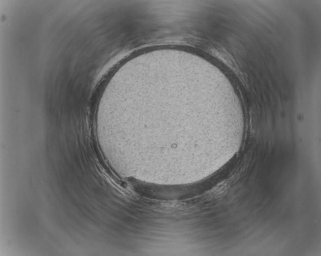 X0000066941452200604211738