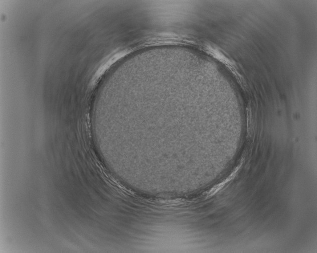 X0000066941453200604211738