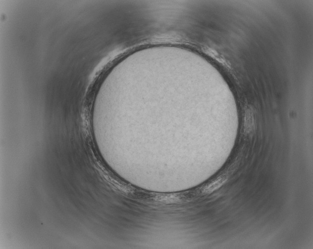 X0000066941454200604211738