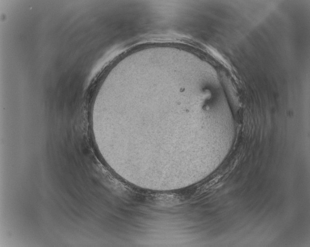 X0000066941456200604211737