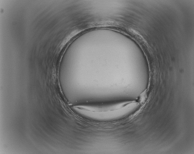 X0000066941457200604211737