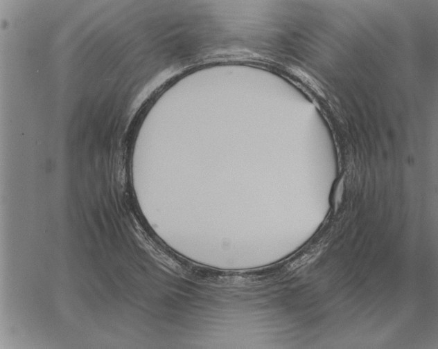 X0000066941458200604211737