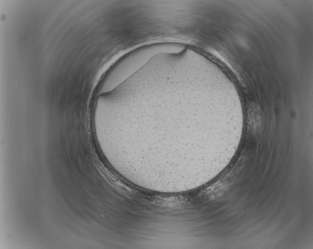 X0000066941460200604211737