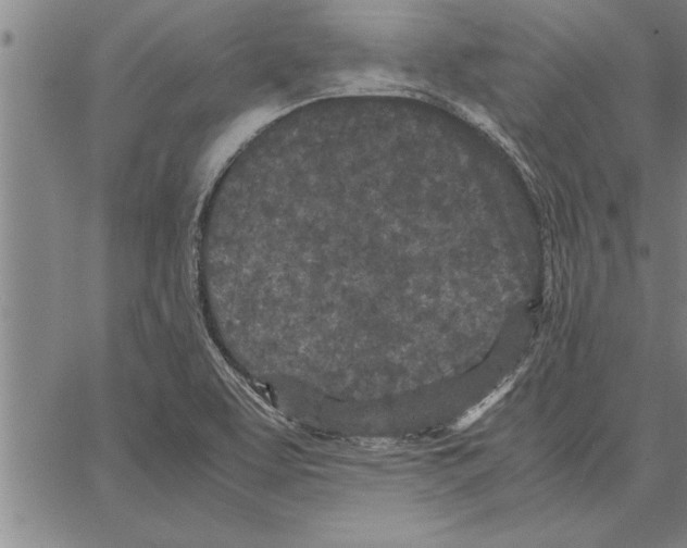 X0000066941463200604211737