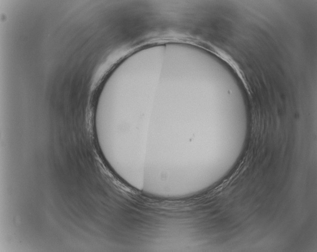 X0000066941464200604211737