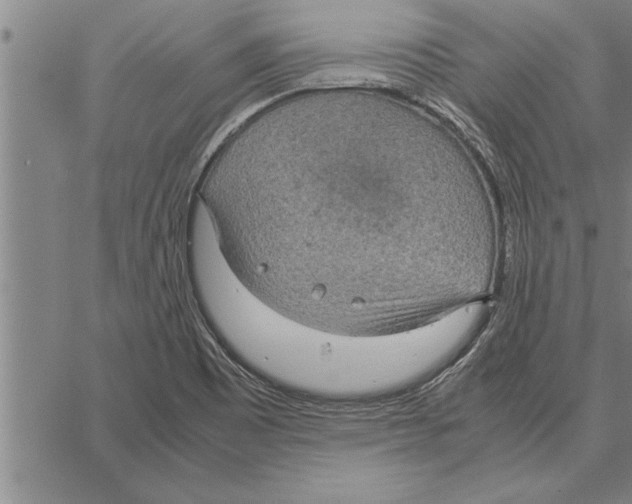 X0000066941465200604211737