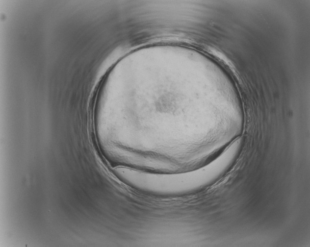 X0000066941467200604211737