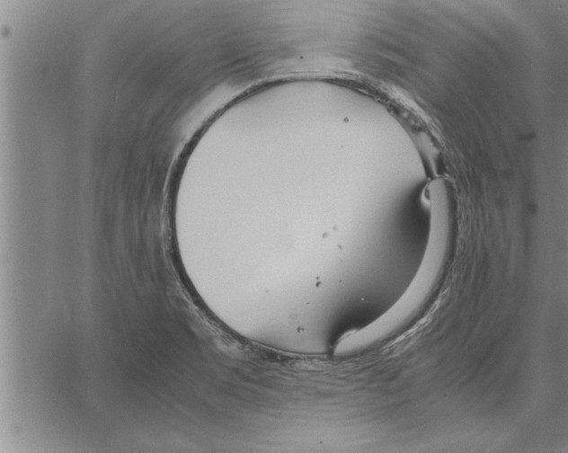 X0000066941469200604211737