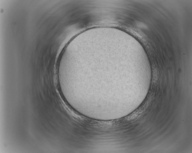 X0000066941470200604211737