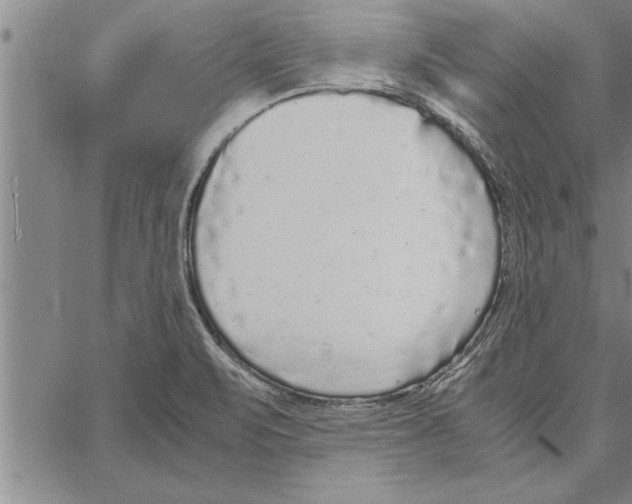 X0000066941471200604211737