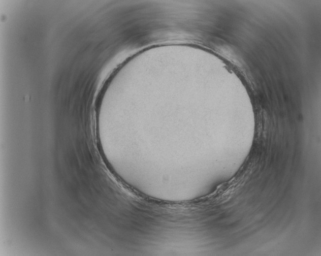 X0000066941472200604211737