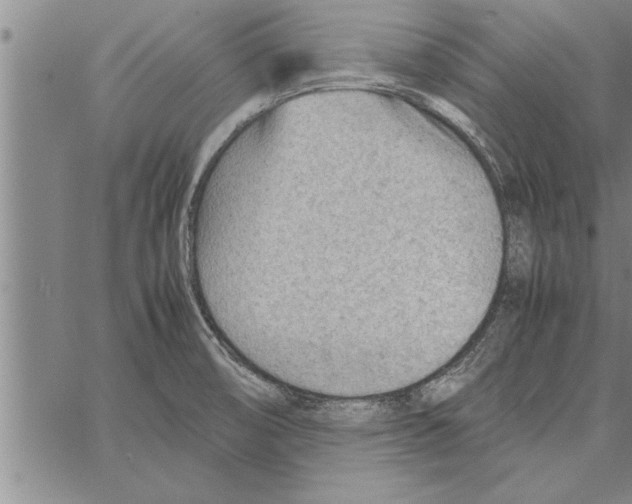 X0000066941474200604211737