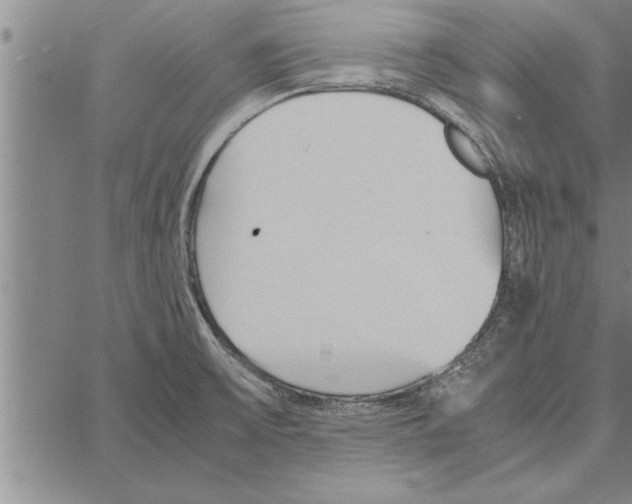 X0000066941475200604211737