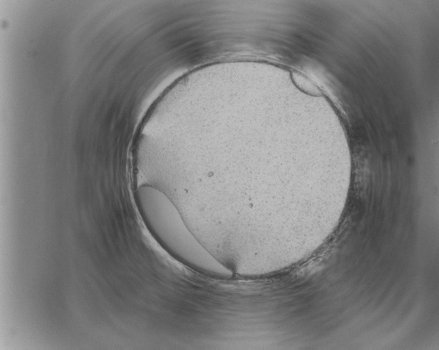 X0000066941476200604211737