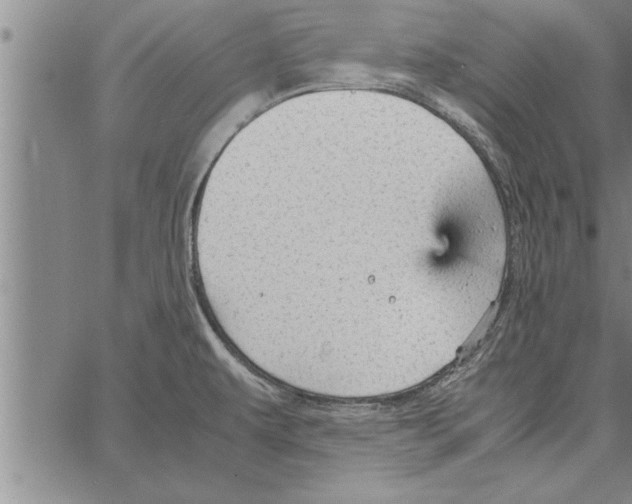 X0000066941479200604211737