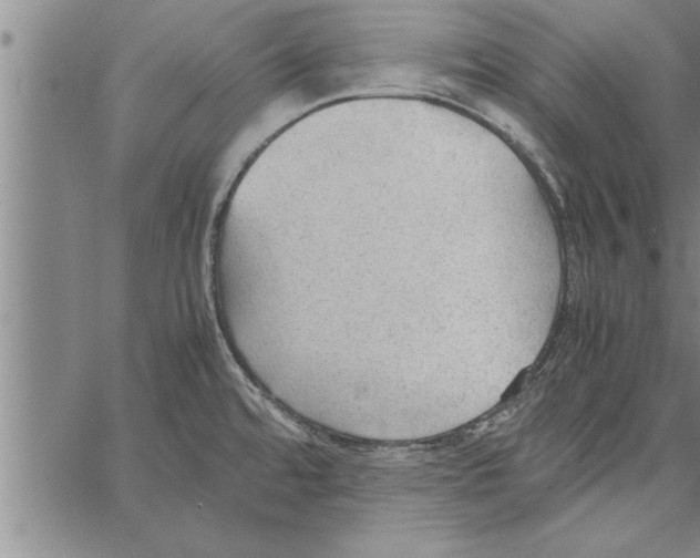 X0000066941480200604211737