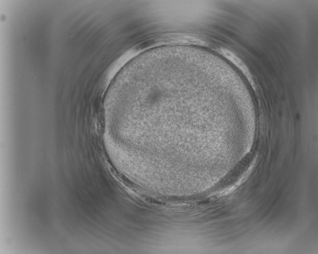 X0000066941481200604211737