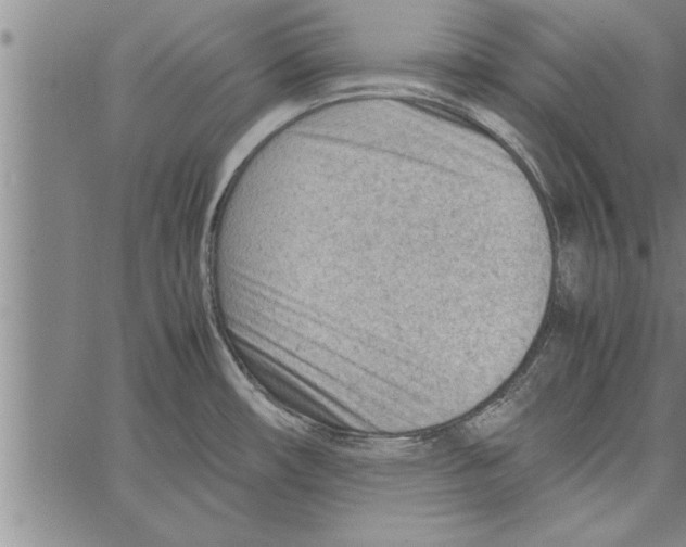 X0000066941482200604211737