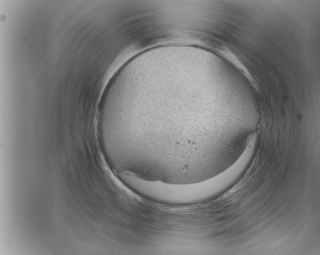 X0000066941484200604211737