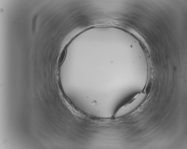 X0000066941485200604211737