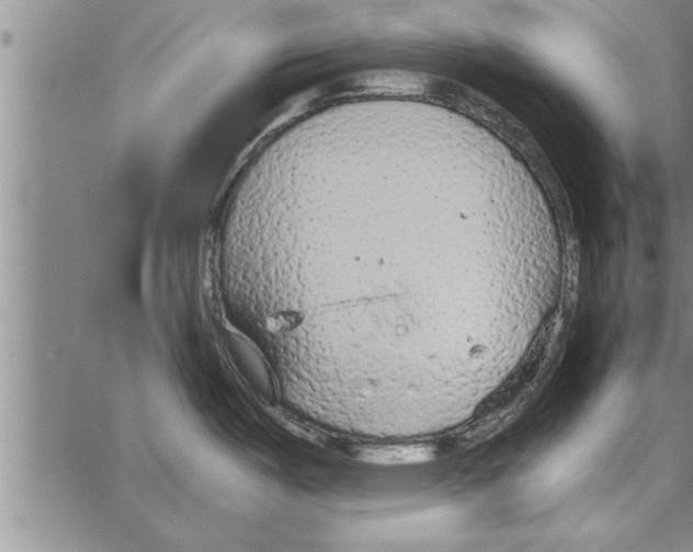 X0000066941487200604211737