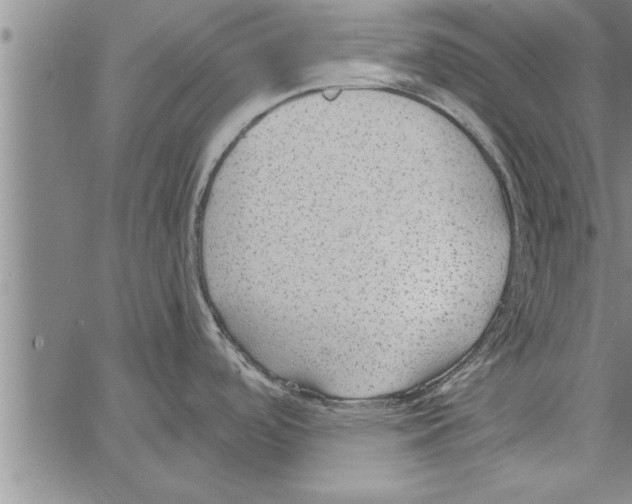 X0000066941488200604211737