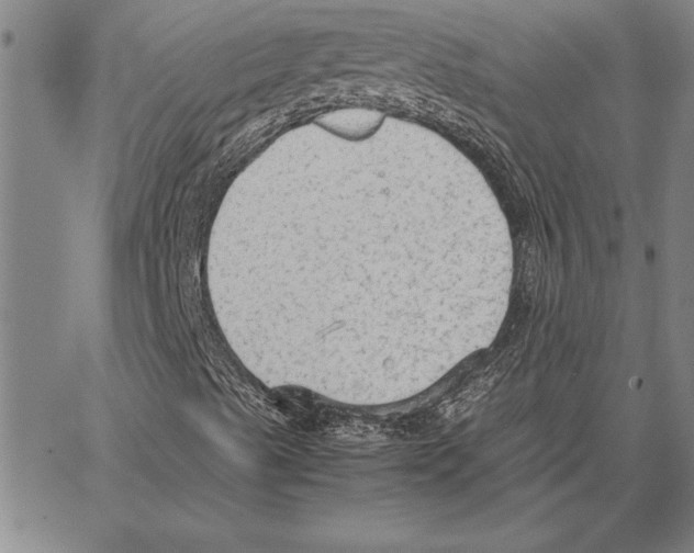 X0000066941489200604211736