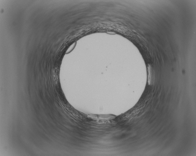 X0000066941491200604211736