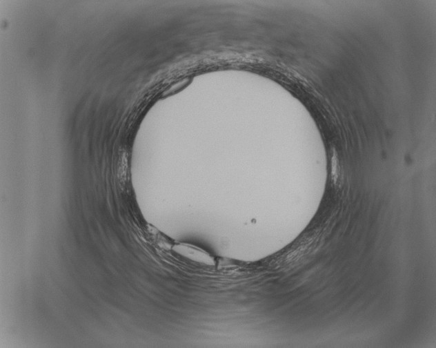 X0000066941492200604211736