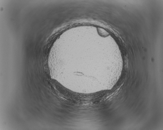 X0000066941494200604211736