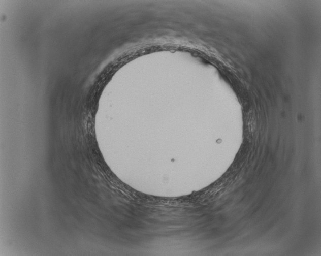 X0000066941495200604211736