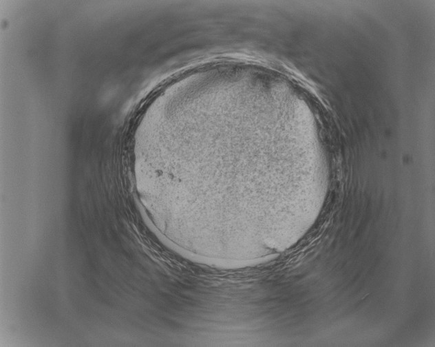 X0000066941496200604211736