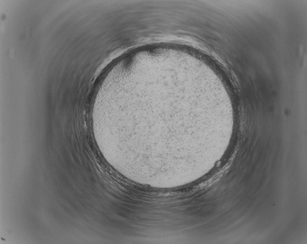 X0000066941497200604211736