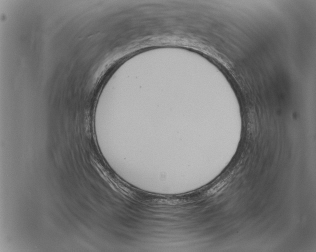 X0000066941499200604211736