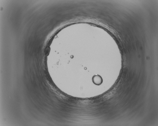 X0000066941502200604211736