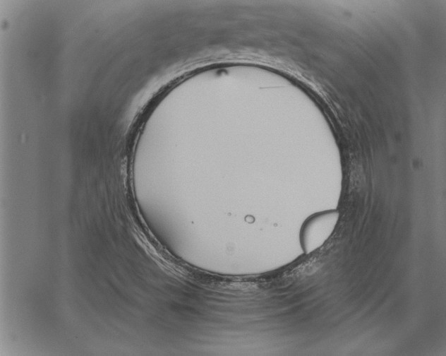 X0000066941503200604211736