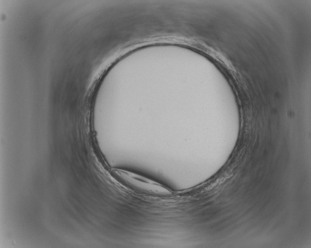 X0000066941504200604211736