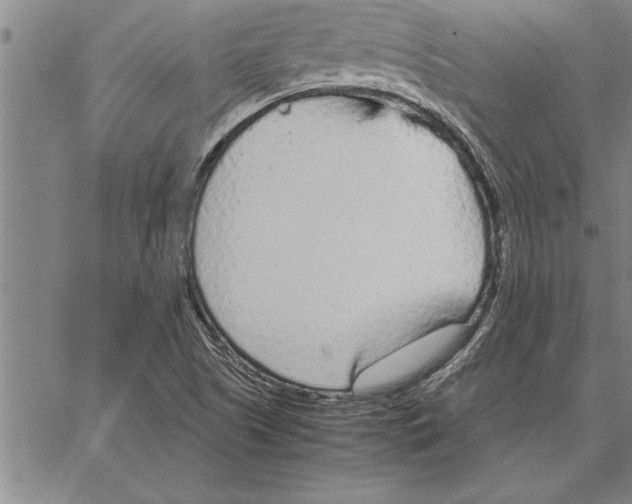 X0000066941505200604211736