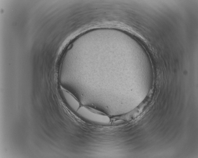 X0000066941506200604211736