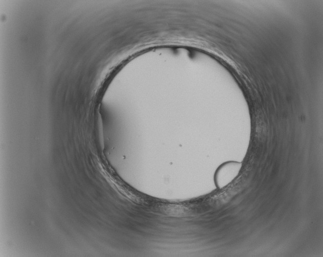 X0000066941507200604211736