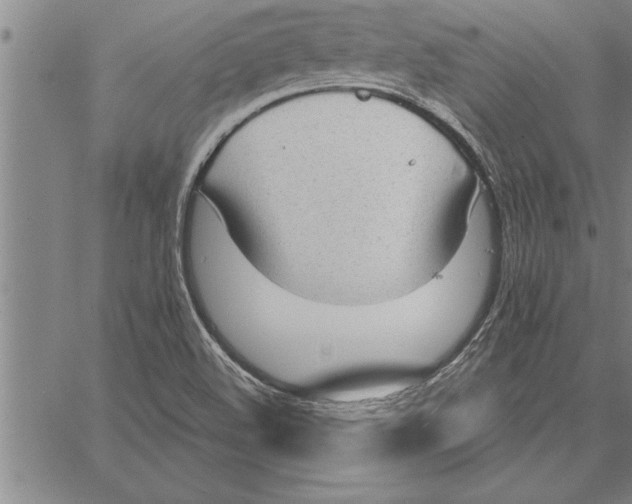 X0000066941508200604211736