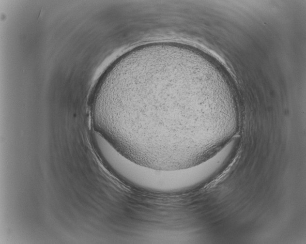 X0000066941509200604211736