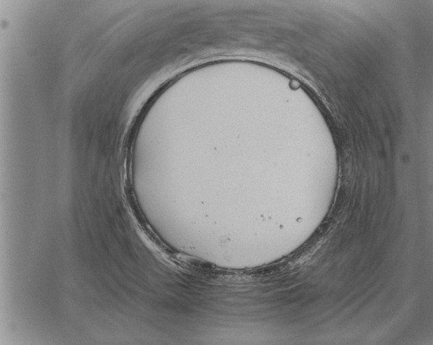 X0000066941511200604211737