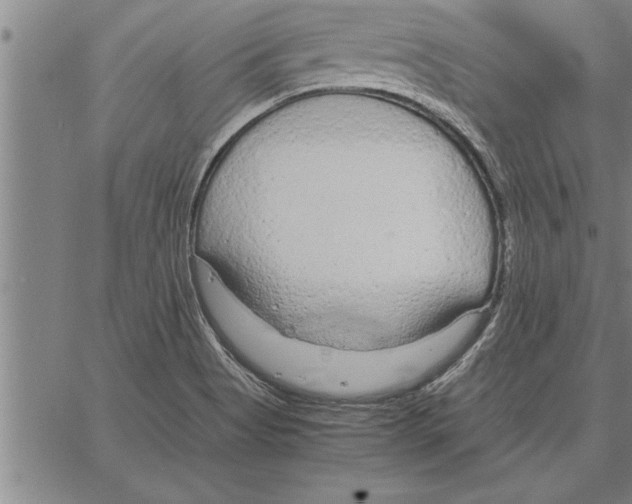 X0000066941513200604211737