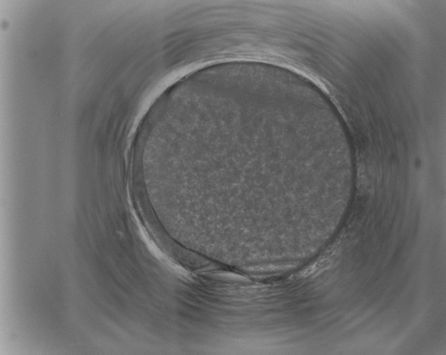 X0000066941515200604211737