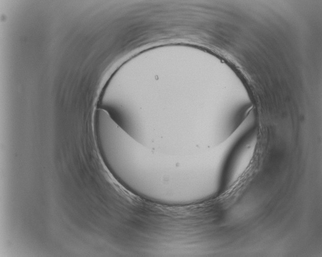 X0000066941516200604211737