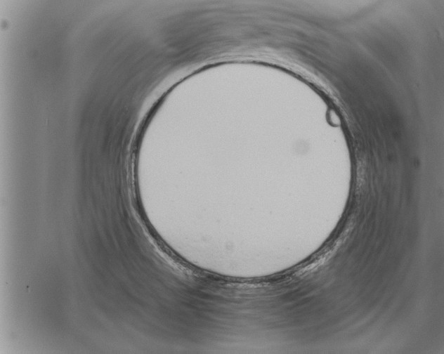 X0000066941517200604211737