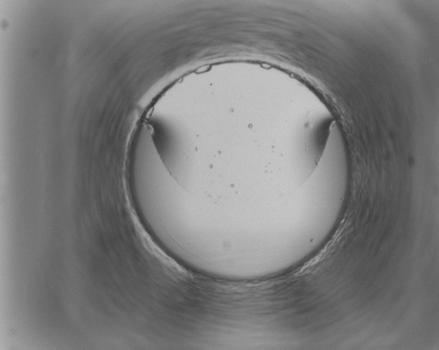 X0000066941518200604211737