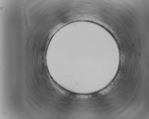 X0000066941521200604211737