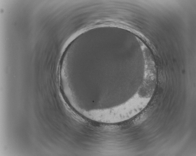 X0000066941522200604211737